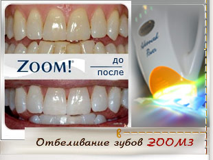 Картинка 136 из 1254